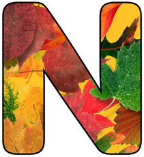 Herbstbuchstabe-5-N.jpg